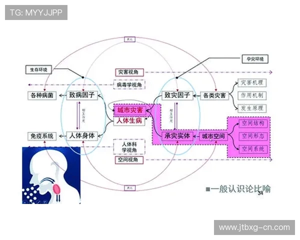 圣何塞地震对比纽约城的城市韧性与应急管理策略分析